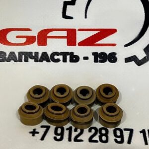Маслосъемные колпачки УМЗ-4216/A274 EvoTech 2.7/ЗМЗ-402 "Кирово-Чепецк" (24-1007036)