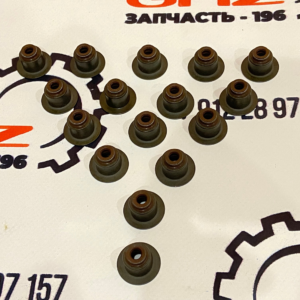 Маслосъемные колпачки Cummins ISF 2.8  "Cummins" (4976170)ㅤㅤㅤㅤㅤㅤㅤㅤㅤㅤㅤㅤㅤㅤㅤㅤㅤㅤ